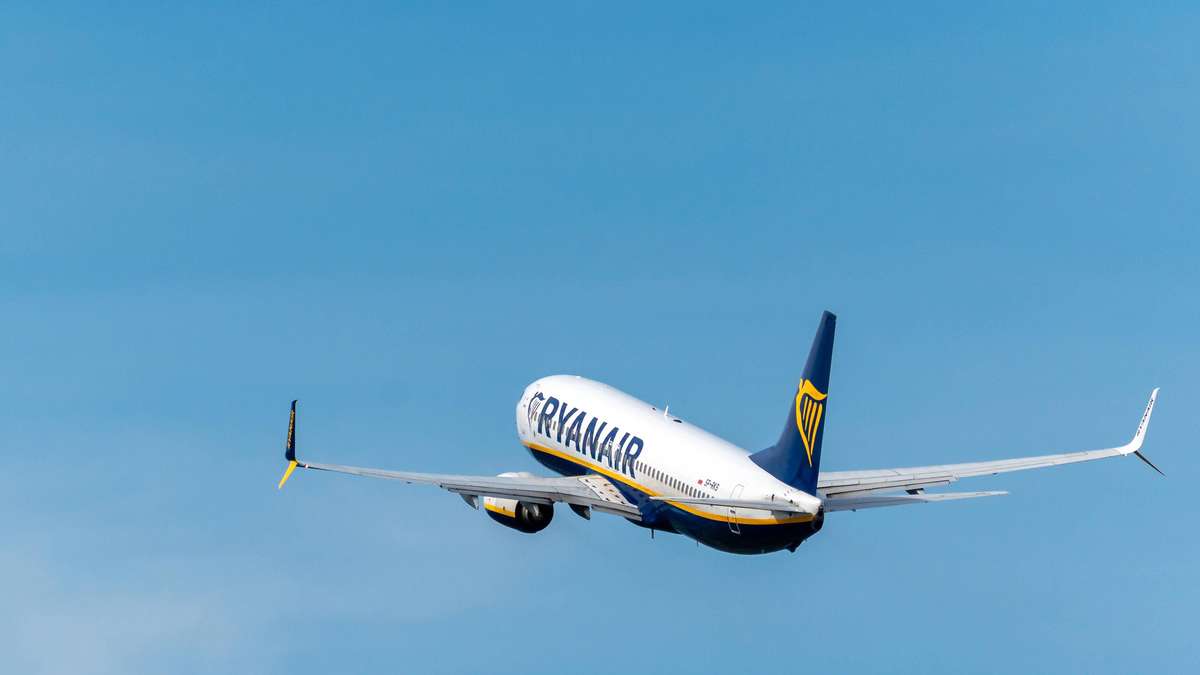 Nuevos hallazgos en vuelo de terror: los investigadores encuentran restos de aves en el motor