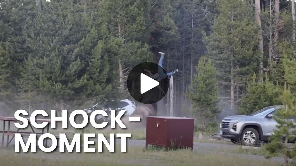 Bison hurls man meters high in the air – accident rabbit comes with the life of