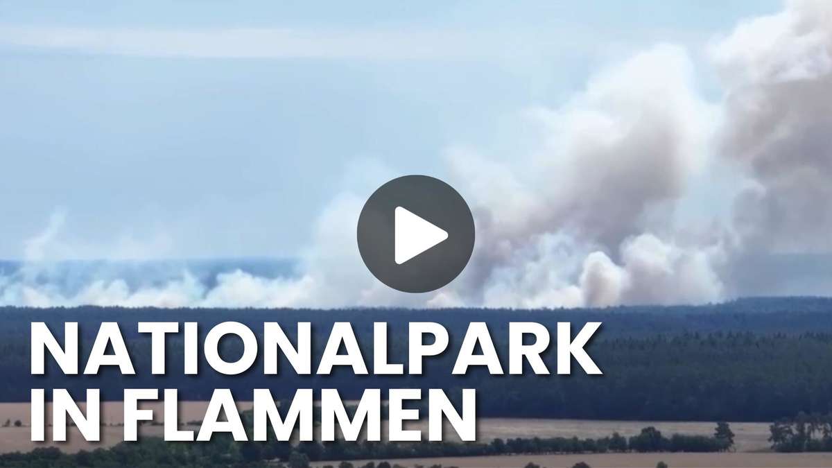 Fire in Müritz National Park – and in the forest floor lies an invisible danger