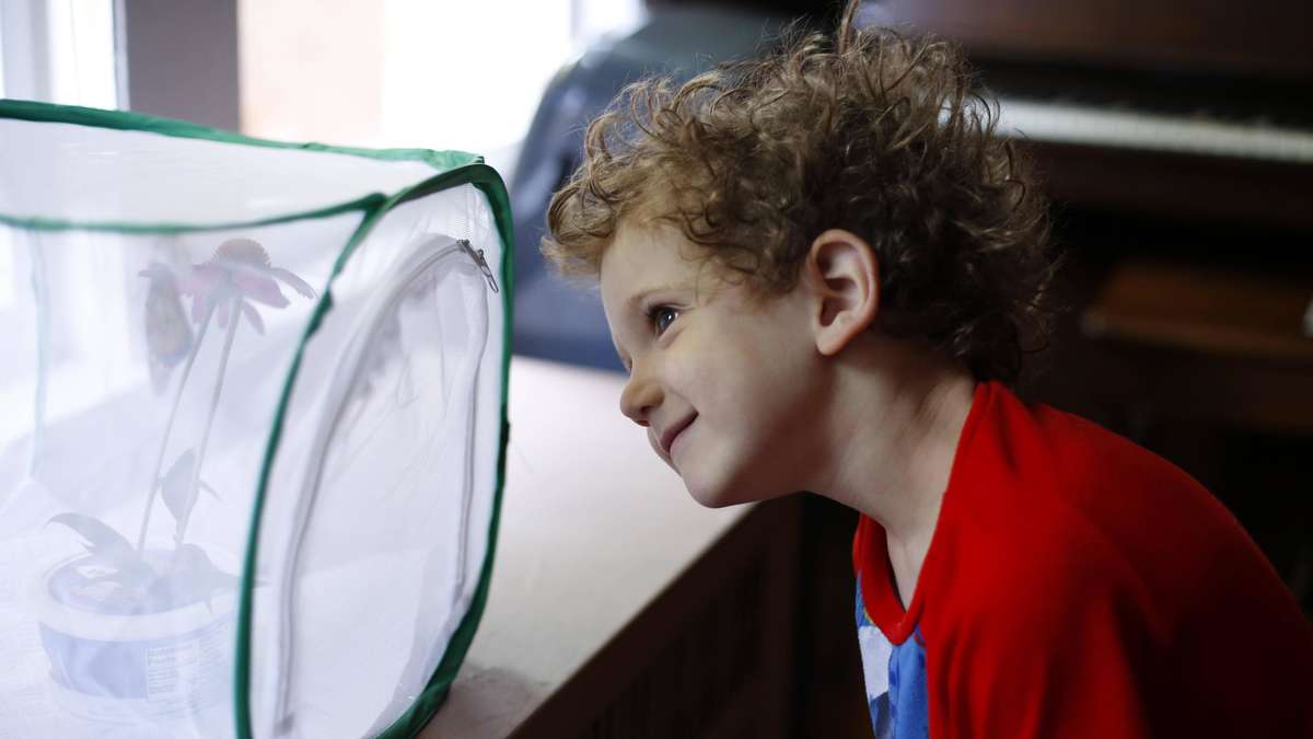 A mother asked her son the same question every day – later he won the Nobel Prize