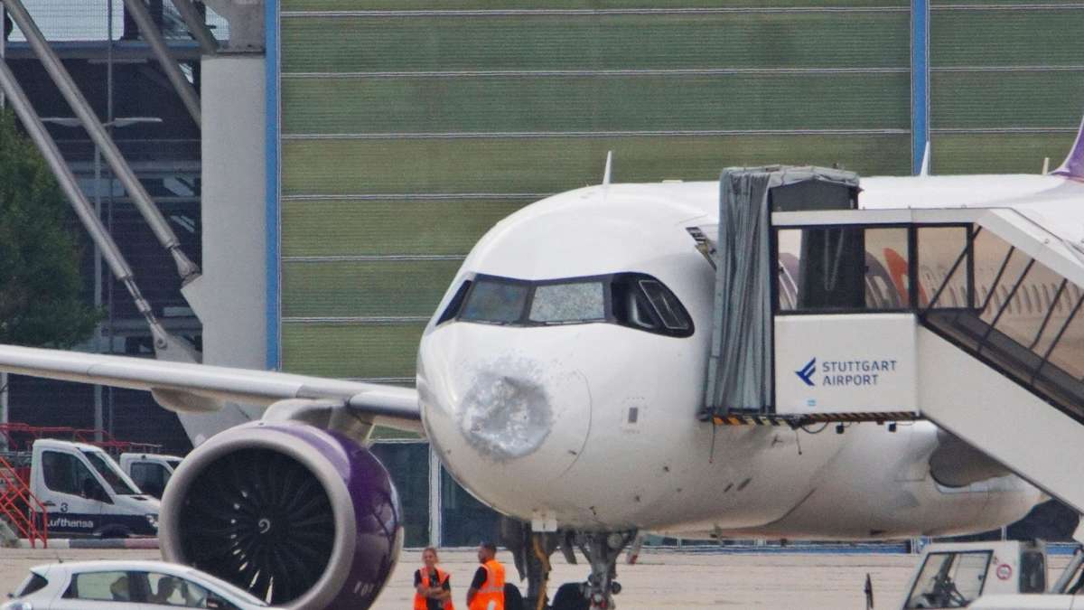 Landing with a dented nose: Airbus must refrain from further flight