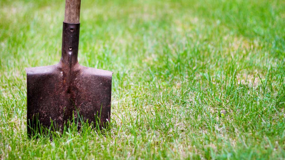 Tu as encore besoin d'arroser la pelouse ? Faites le test s'il est vraiment nécessaire
