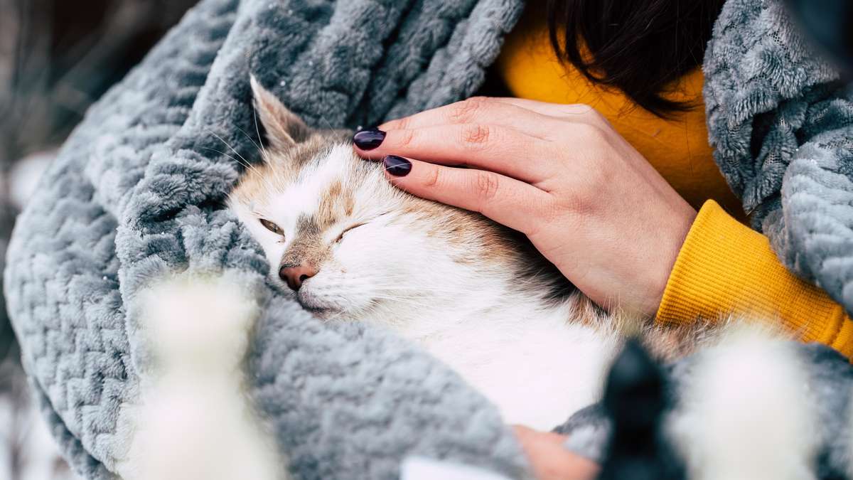 Perder a un animal querido duele: hay muchos caminos diferentes que pueden ayudar
