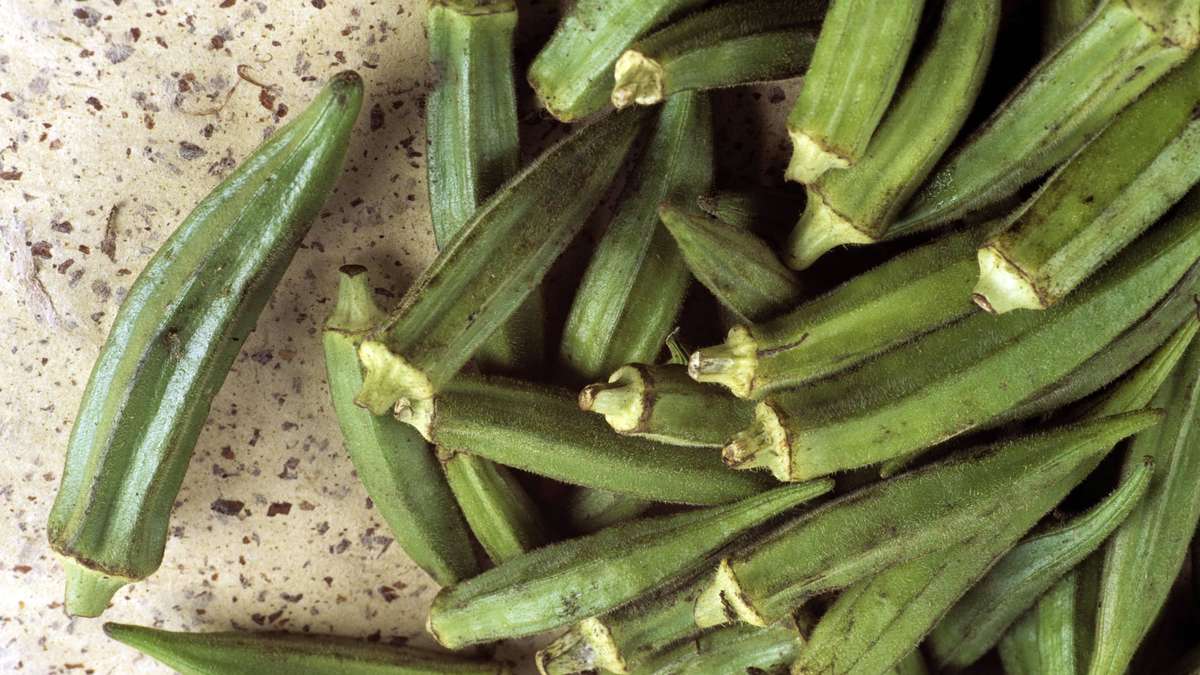 خبز الطبخ مع الطماطم: صحن نباتي صحي من المقلاة