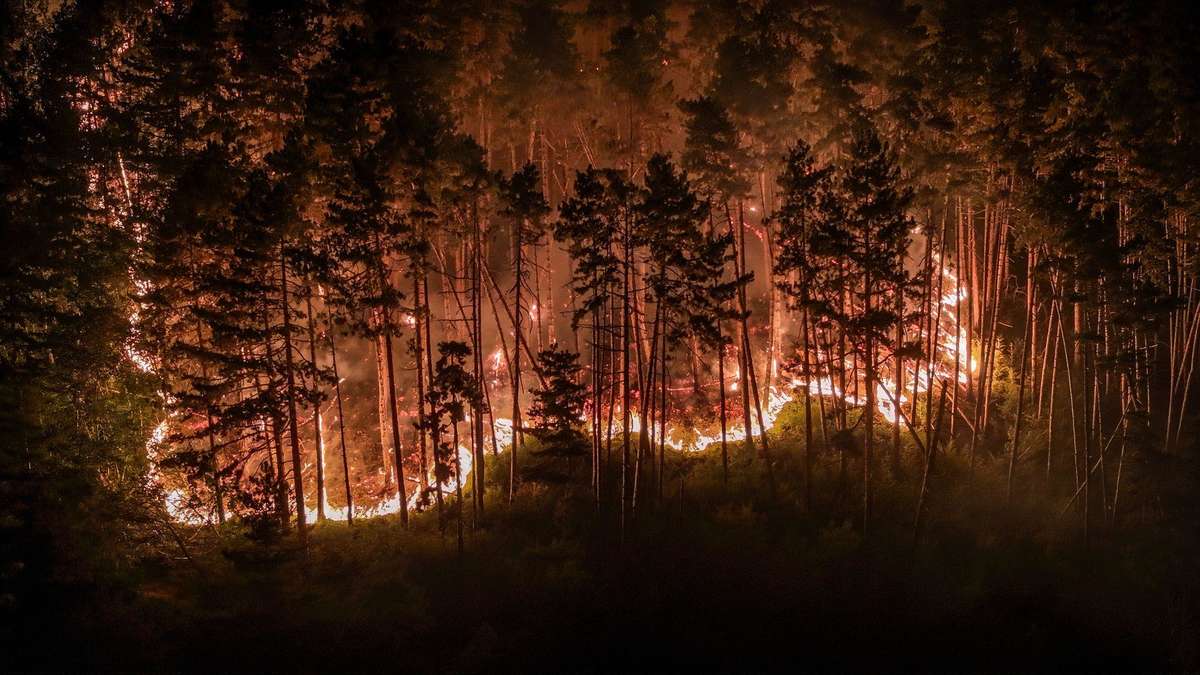 Nidos y vientos ardientes encienden nuevos incendios forestales en el lago Garda – las piscinas ayudan con el trabajo de extinción