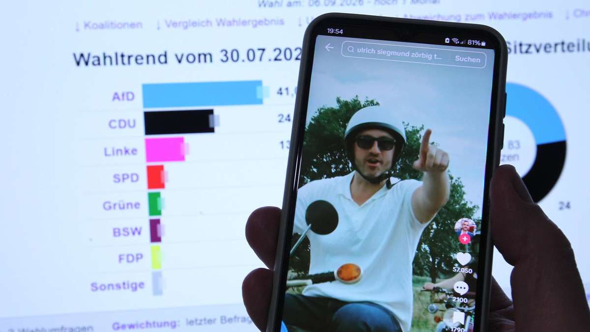 Si vous payez sur votre compte, comment l'AfD en Saxe-Anhalt a déjà gouverné bien moins de 50% seulement