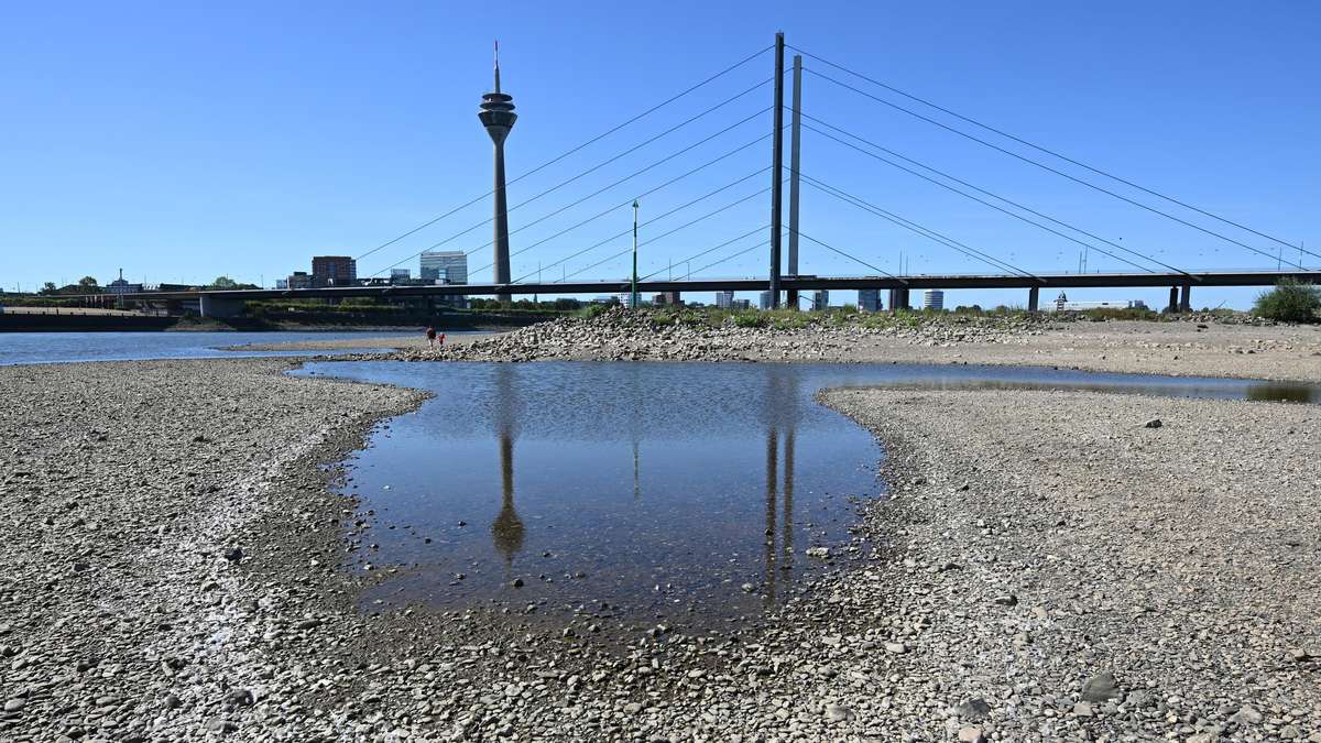 La crisis climática choca “full pull”: la sequía en Alemania se convierte en el próximo desafío para la economía