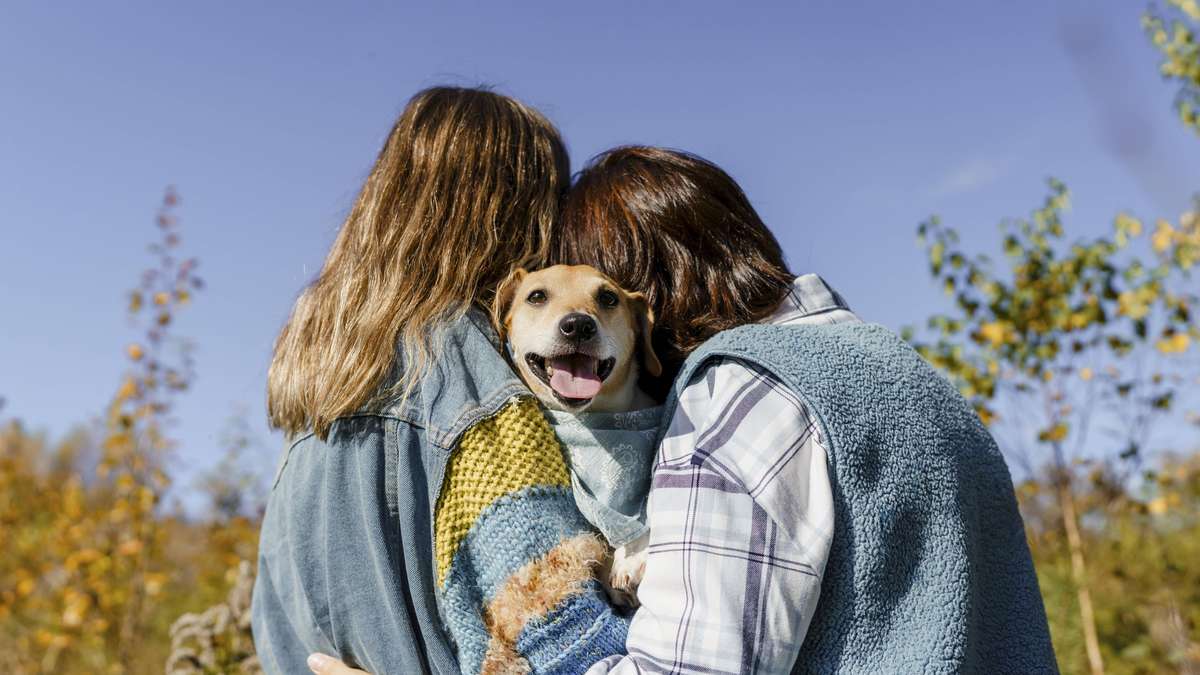 Germany's most popular dogs: Why smaller four-legged friends are increasingly in demand