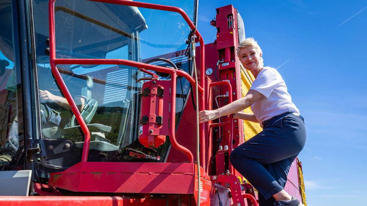 Rojo-verde posible, CDU en una pizca: Lo que revela la nueva encuesta sobre las elecciones MV