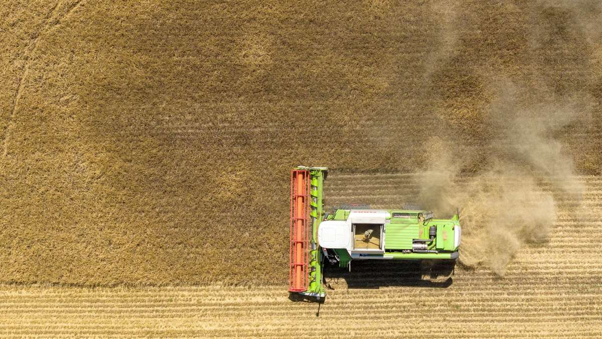 El fracaso total de la cosecha amenaza: Sur golpea especialmente – Los agricultores piden tres medidas inmediatas