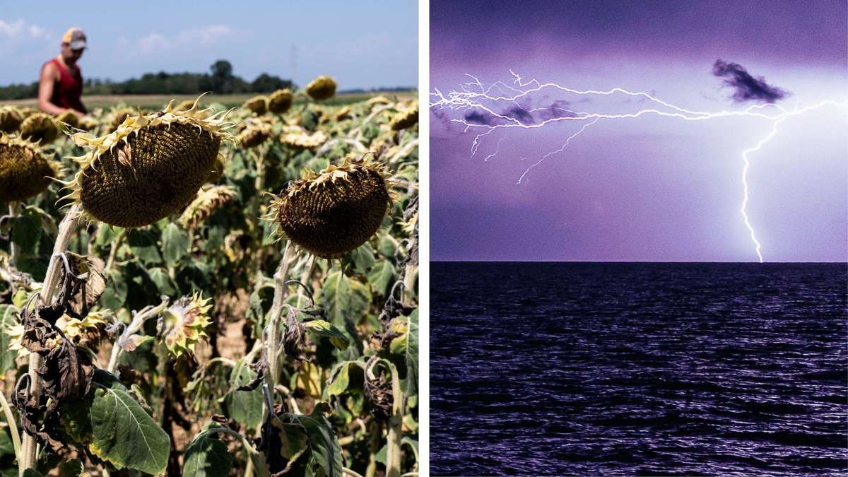 Calor continúa Italia: Todavía alerta roja en varias ciudades