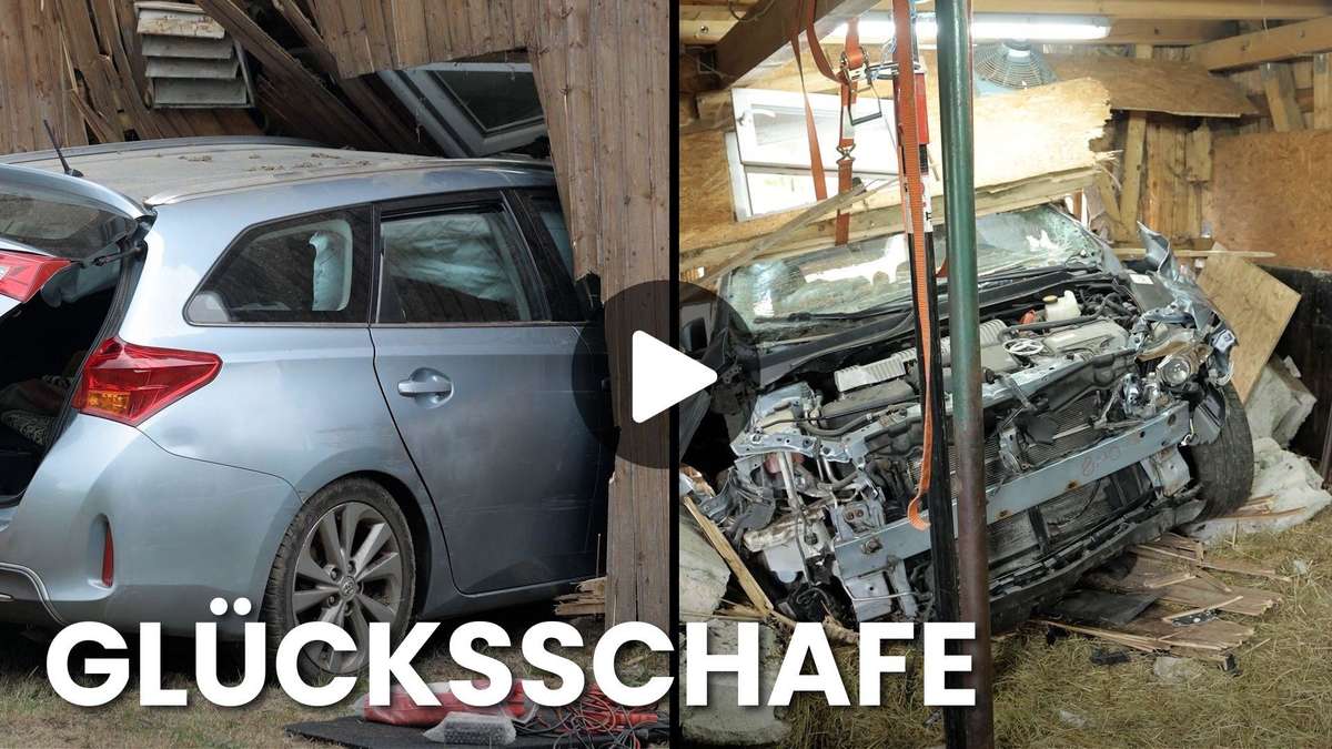 Toyota races in stable in the Ore Mountains – sheep come away with horror