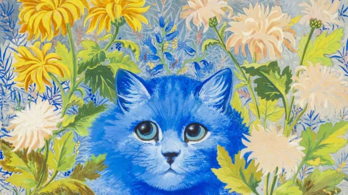 Cat pictures from the dumpster: married couple did not suspect anything – and got richer by thousands of euros