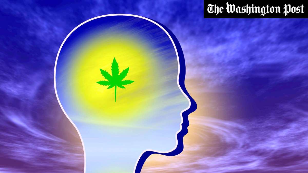 Myth Psyche: Why cannabis is not healthy – and who it could help in old age