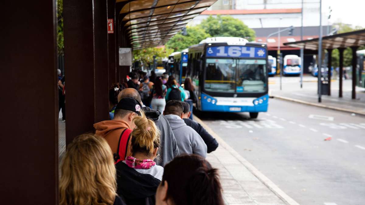 Rêve du conducteur de bus: l'homme vole bus et transporte des passagers sans méfiance
