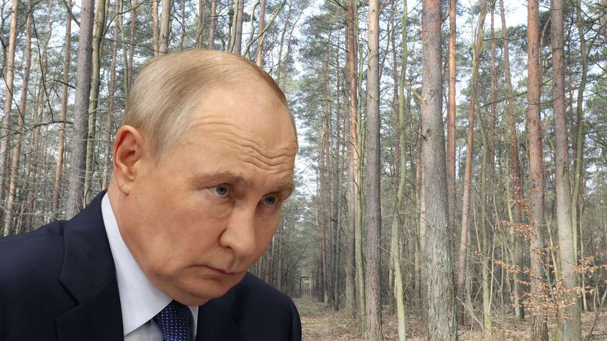 “Serious killing intentions”: Expert advierte después de que las armas encuentren en Berlín la guerra de sombras de Rusia