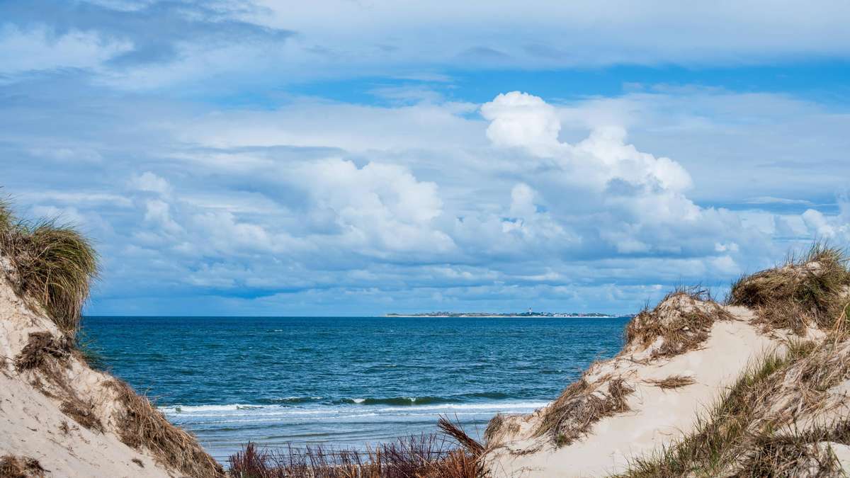 Jellyfish sightings in the North Sea – travelers should also keep an eye on dangerous bacteria