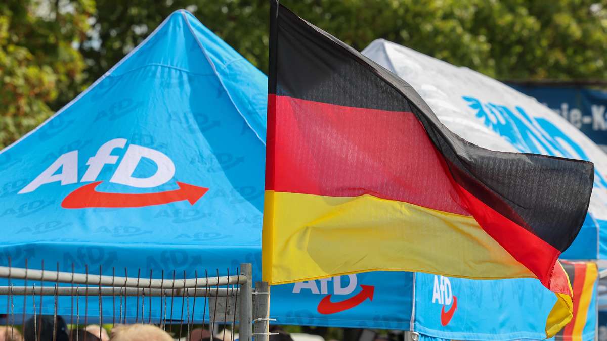 Saxony-Anhalt votes: These are the AfD strongholds