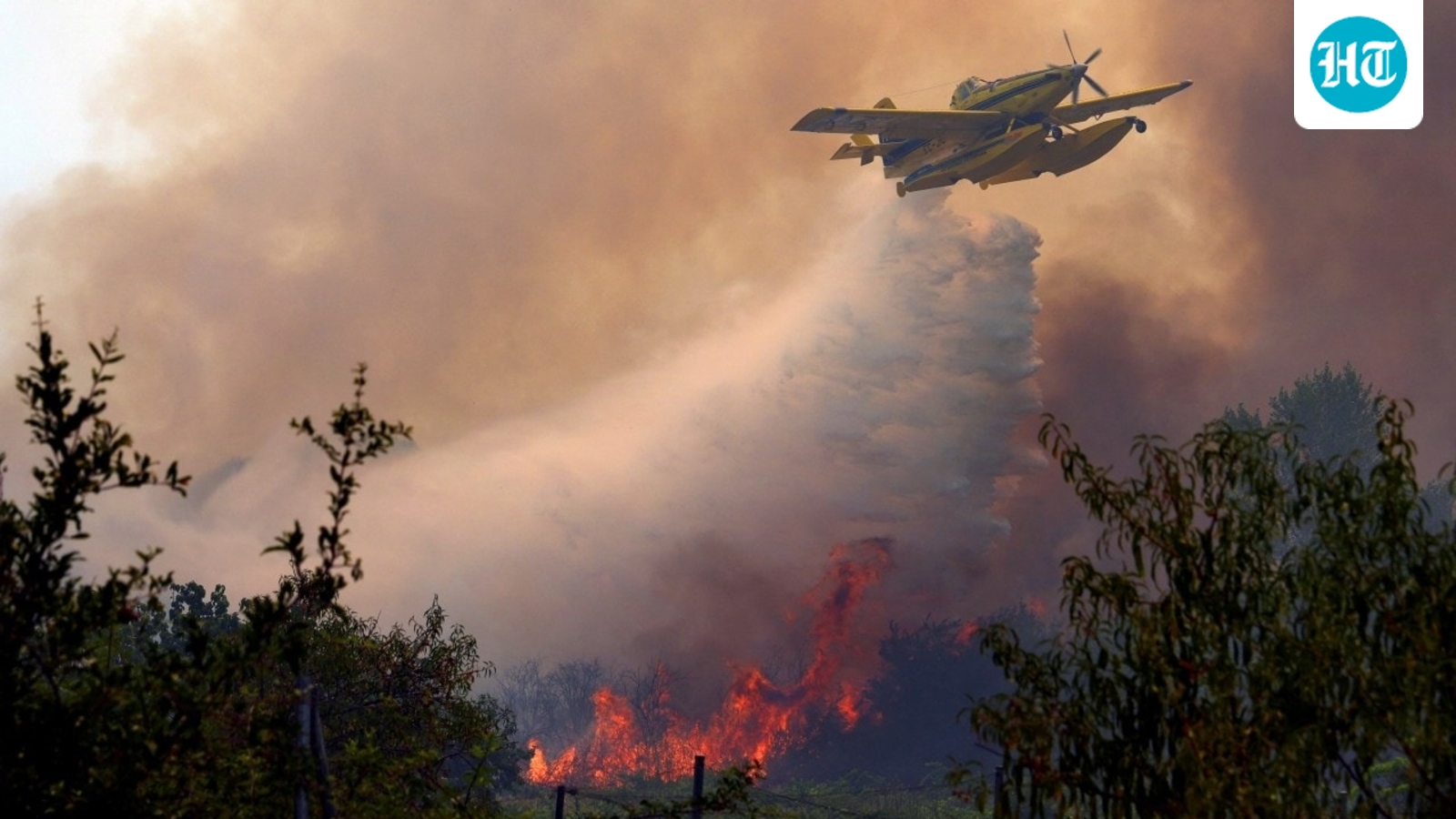 Pourquoi les incendies de forêt en Europe sont si intenses cette année