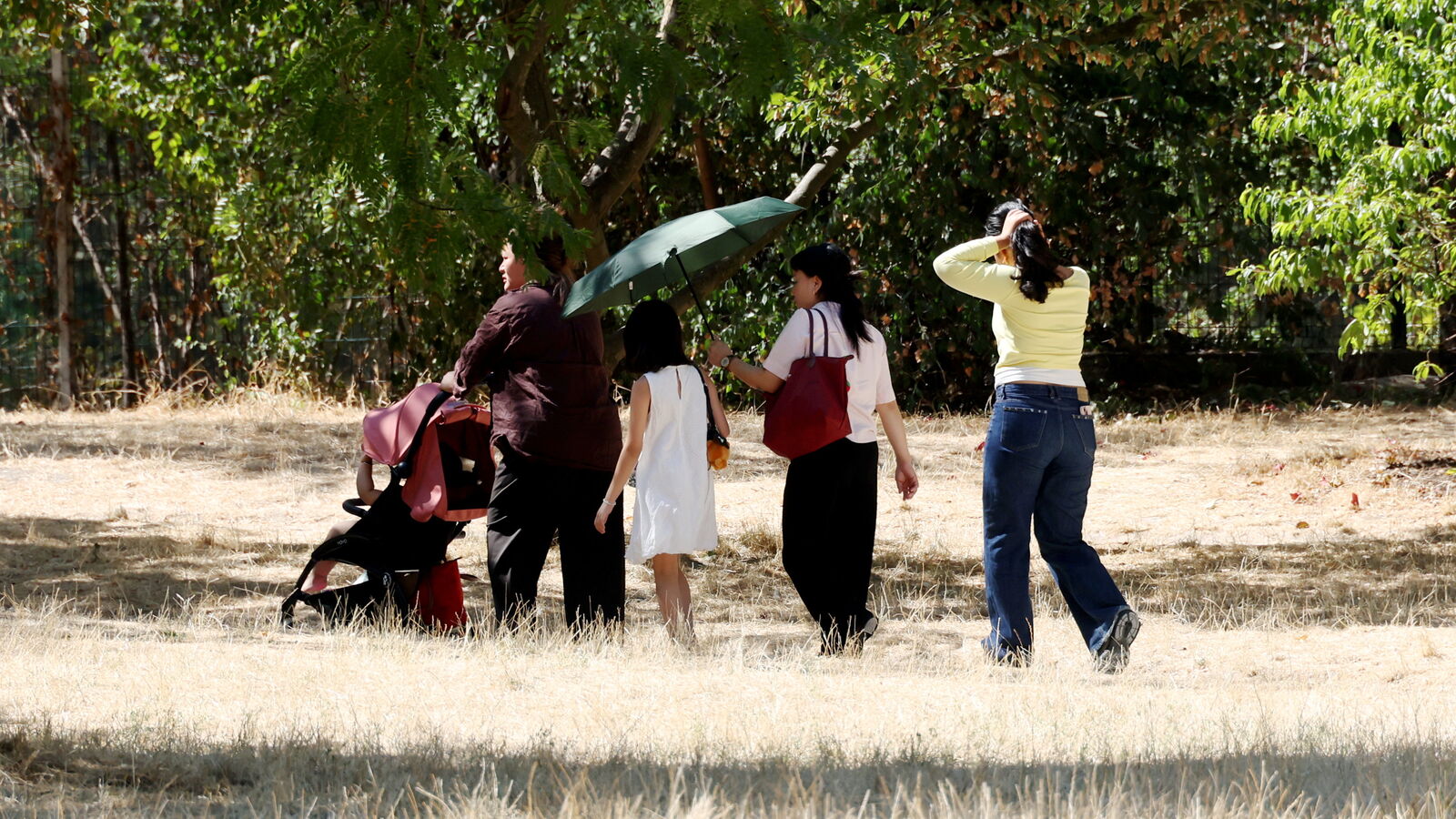 The current heat wave in France becomes the second longest ever recorded