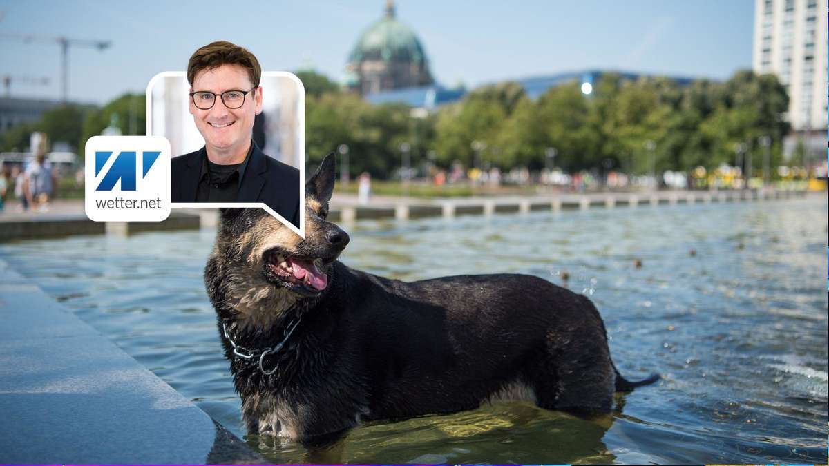 Münchner Merkur