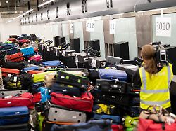In Frankfurt: Mosquito on plane – Airport employees are infected with malaria
