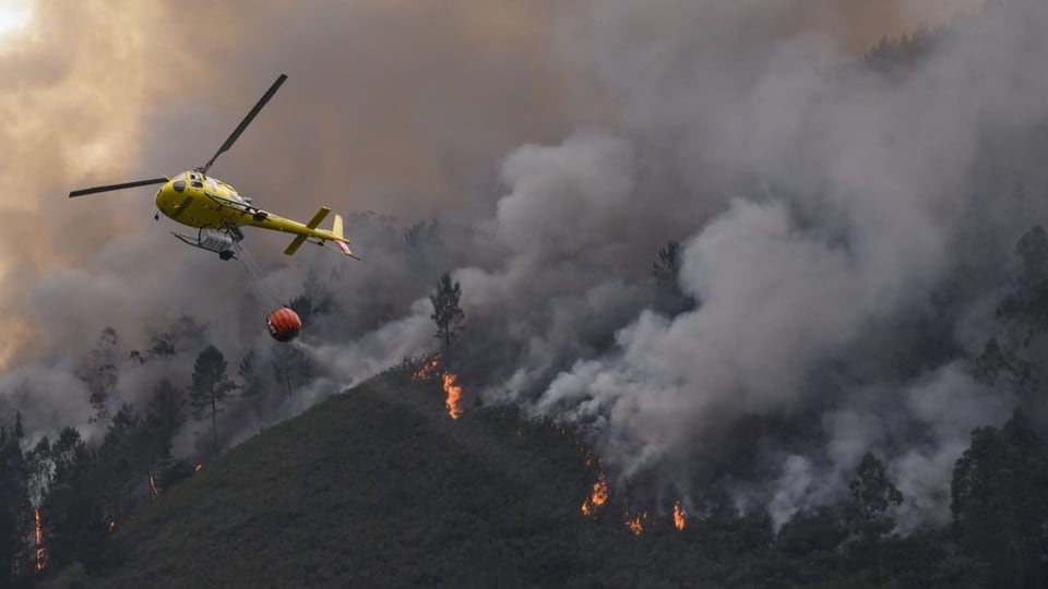 Twelve killed in forest fire in southern Spain