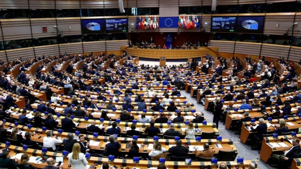 Will the EU money supply be cut off? – European Parliament votes on proceedings against AfD-European party