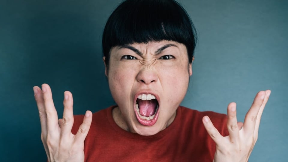Arschgyge, Goofe and Huresiech – The High Art of Lower Words