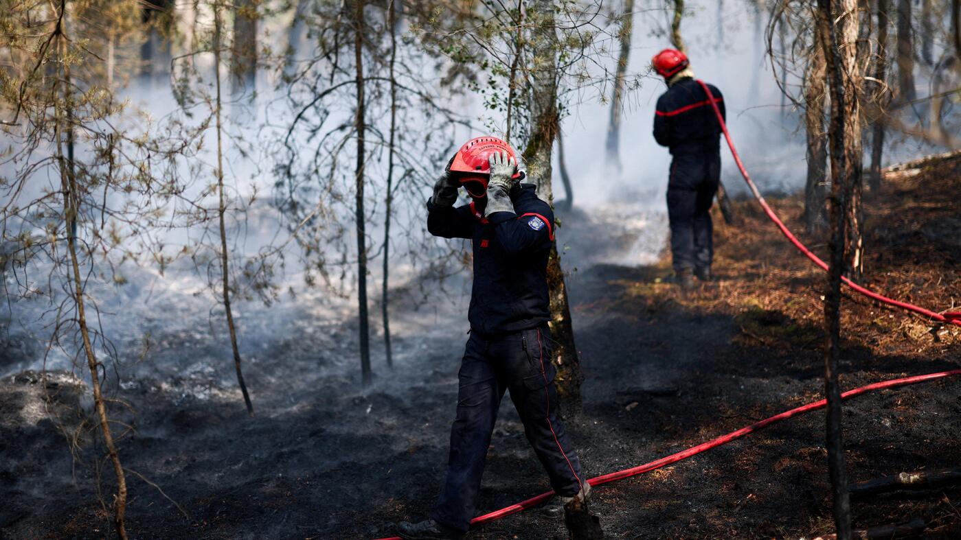 Forest fire in Paris: Firefighter confesses complicity